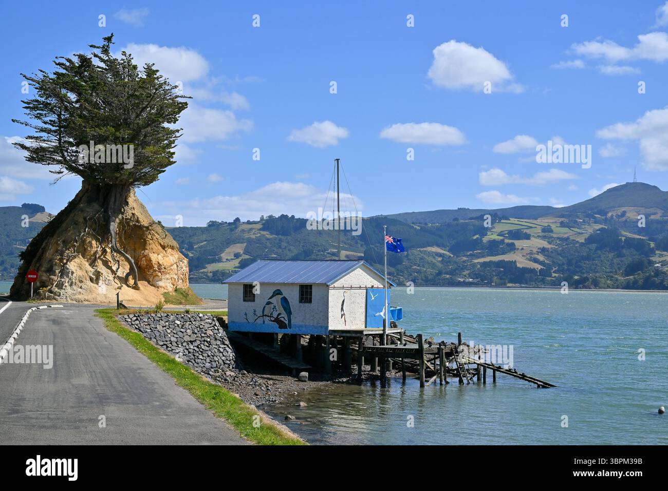 Incantevole casetta su palafitte con bandiera neozelandese e scogliera con la cima di un albero, Otago Harbour, South Island, nuova Zelanda Foto Stock