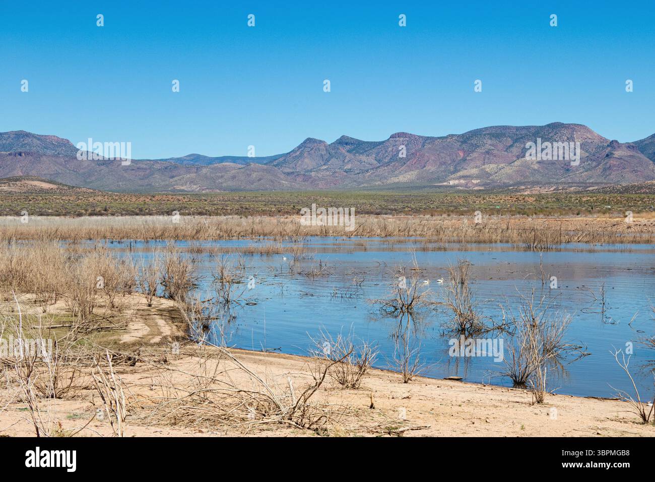 Lago Theodore Roosevelt con basso livello d'acqua, USA, Arizona, Roosevelt Foto Stock