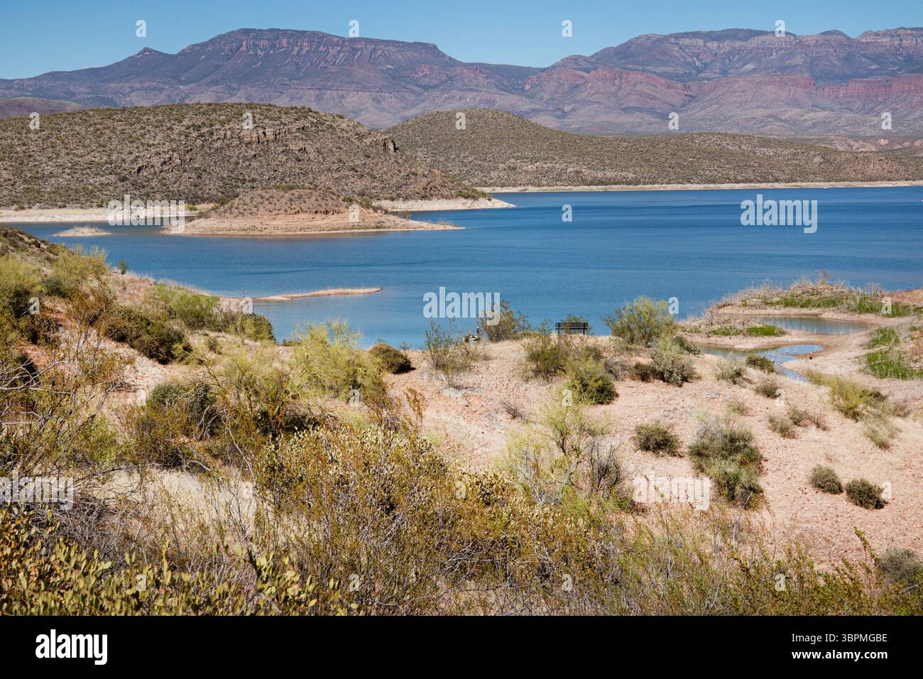 Vista dall'autostrada 188 sul lago Theodore Roosevelt, USA, Arizona, Cave Creek Foto Stock