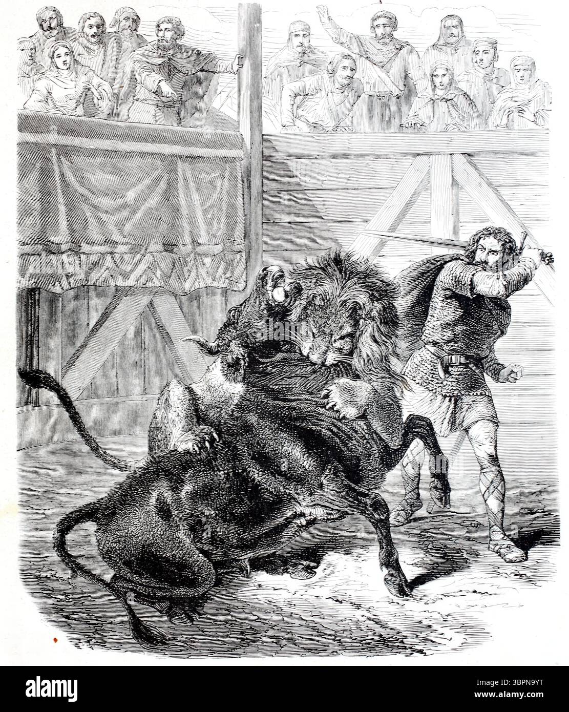 Pepino il corto in battaglia con il toro e il leone, Pepino il giovane, chiamato anche Pepino III, Pepino il corto o Pepino il piccolo (nato nel 714, morto il 24 settembre 768), fu un sindaco franco del palazzo della dinastia carolingia e dalla fine del 751 re dei Franchi, riproduzione digitalmente migliorata di un originale, storico, data esatta sconosciuta del XIX secolo Foto Stock