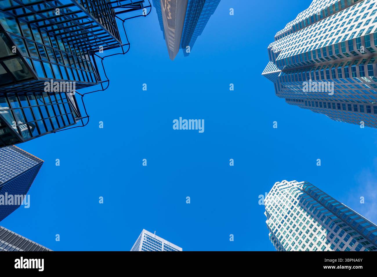 Affacciati su alti e moderni edifici residenziali e uffici con il cielo blu sullo sfondo nel centro di Toronto, Canada Foto Stock