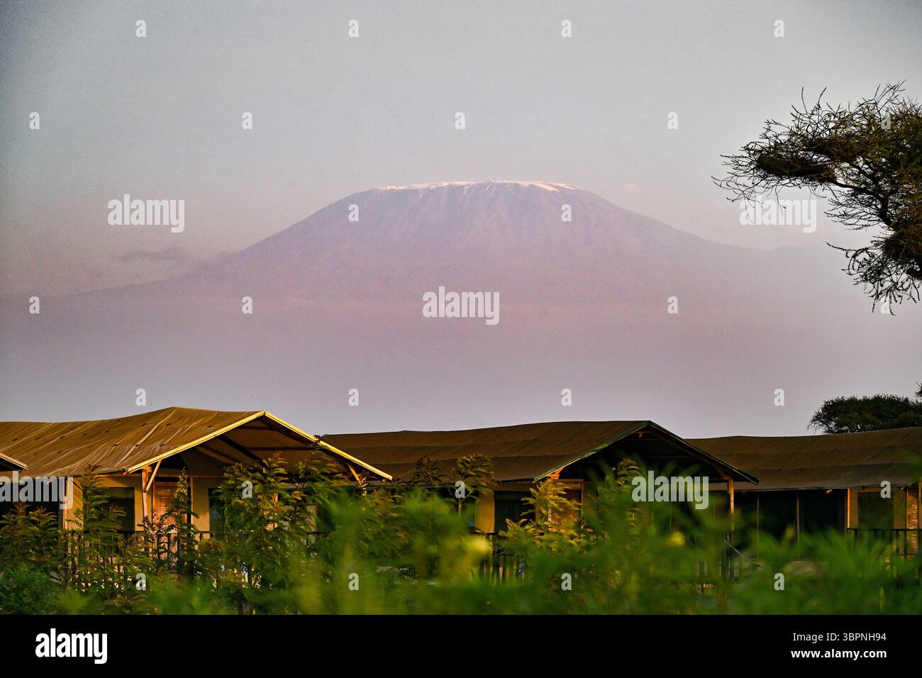 Monte Kilimanjaro all'alba con tende da campeggio safari in primo piano, Parco Nazionale di Amboseli, Kenya Foto Stock