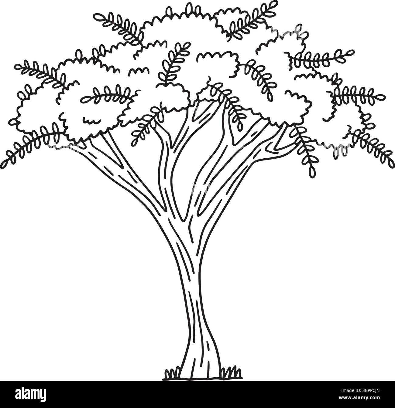 Acacia Tree Isolated Coloring Page for Kids Illustrazione Vettoriale
