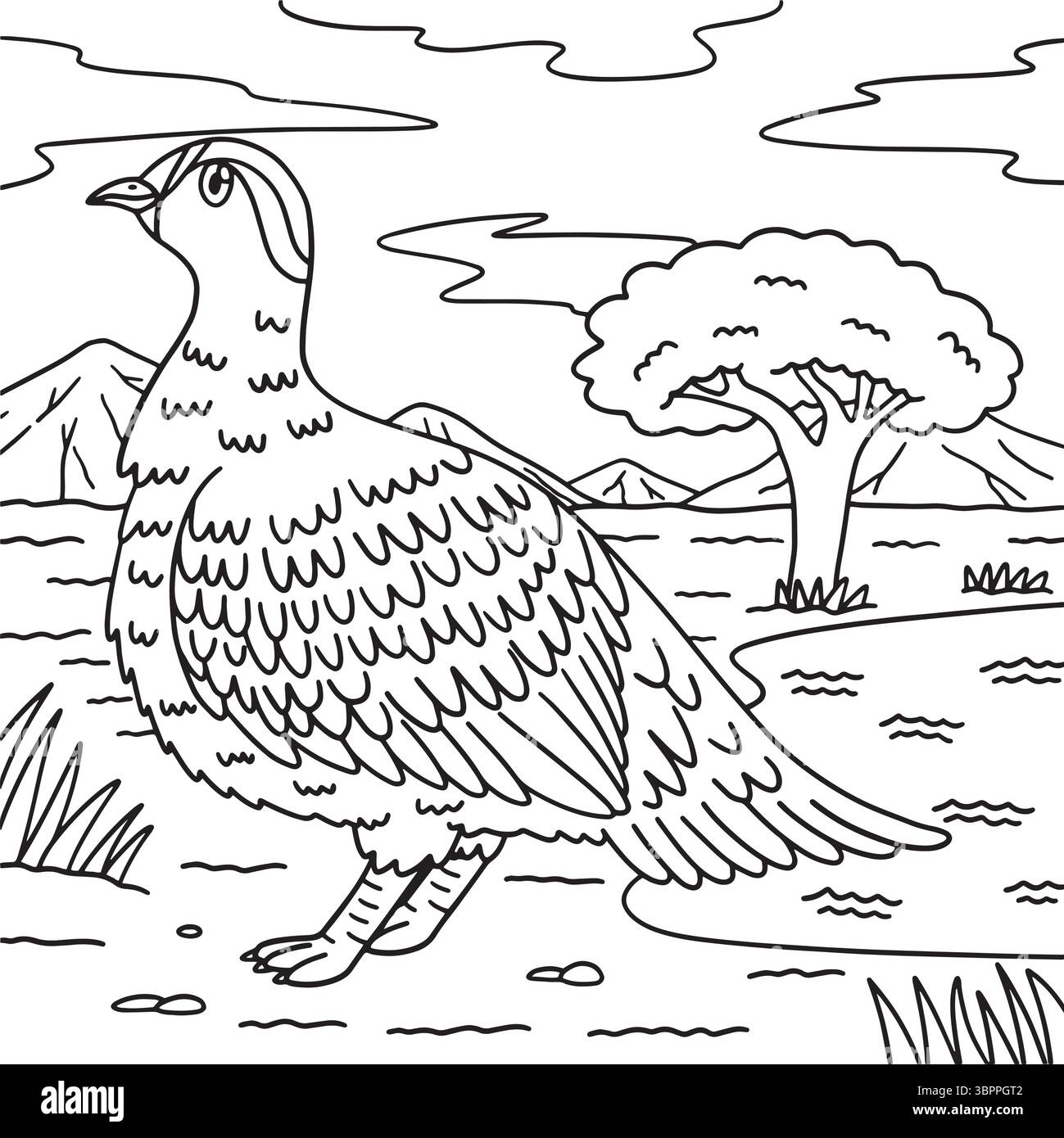 Deserto incoronato Sandgrouse Coloring Page per bambini Illustrazione Vettoriale