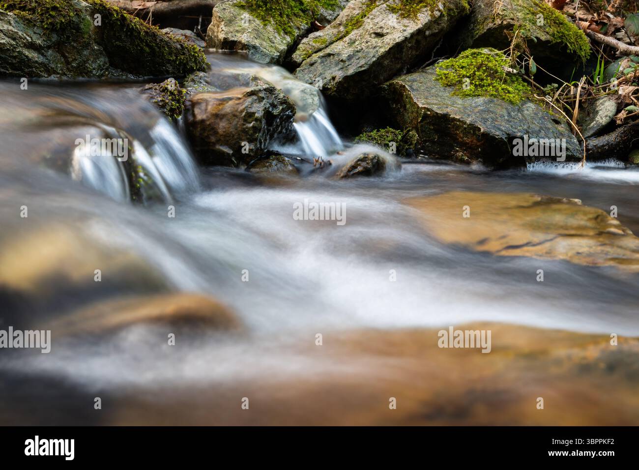 Il veloce flusso di montagna scorre sul fondo roccioso, facendo cascate, clearwater soffia su pietre e rocce coperte di muschio sulla riva del fiume Foto Stock