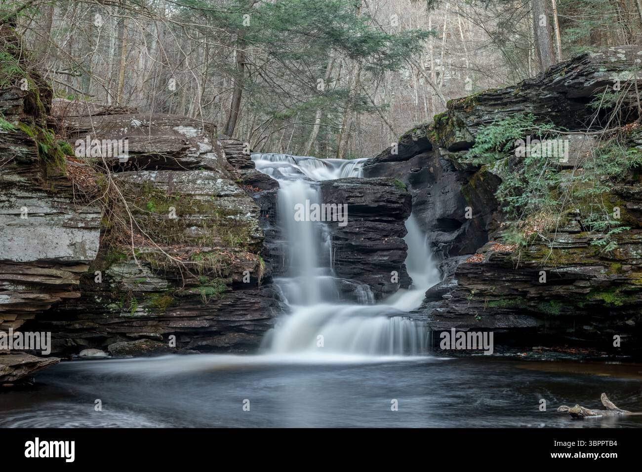 Una piccola cascata nel bosco Foto Stock