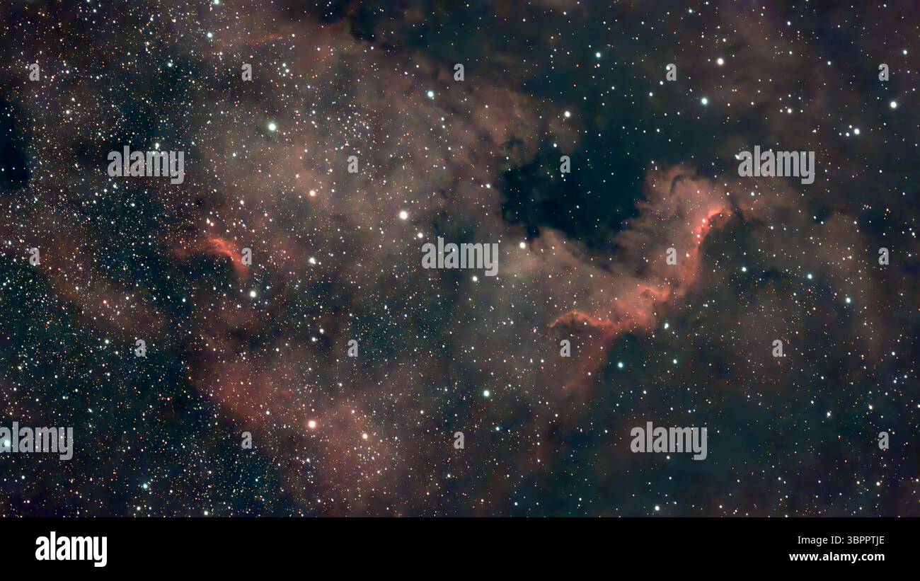 9 luglio 2025. Il cielo notturno limpido sopra Londra rende NGC 7000, la Nebulosa del Nord America (la forma che ricorda il Nord America) facile da fotografare con un piccolo telescopio robotizzato intelligente in questa esposizione di tre ore. La vasta nebulosa di emissione nella costellazione di Cygnus ha una superficie di 100 anni luce, si illumina di rosso con gas idrogeno ed è a 1.700 anni luce dalla Terra. Crediti: Malcolm Park/Alamy Foto Stock