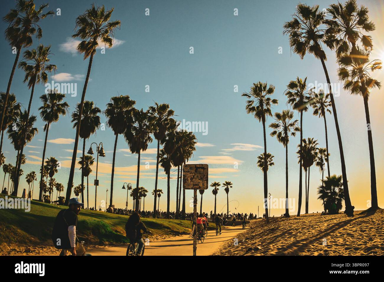 Persone in bicicletta lungo il percorso fiancheggiato da palme a Venice Beach al tramonto, Los Angeles, California, Stati Uniti. Foto Stock