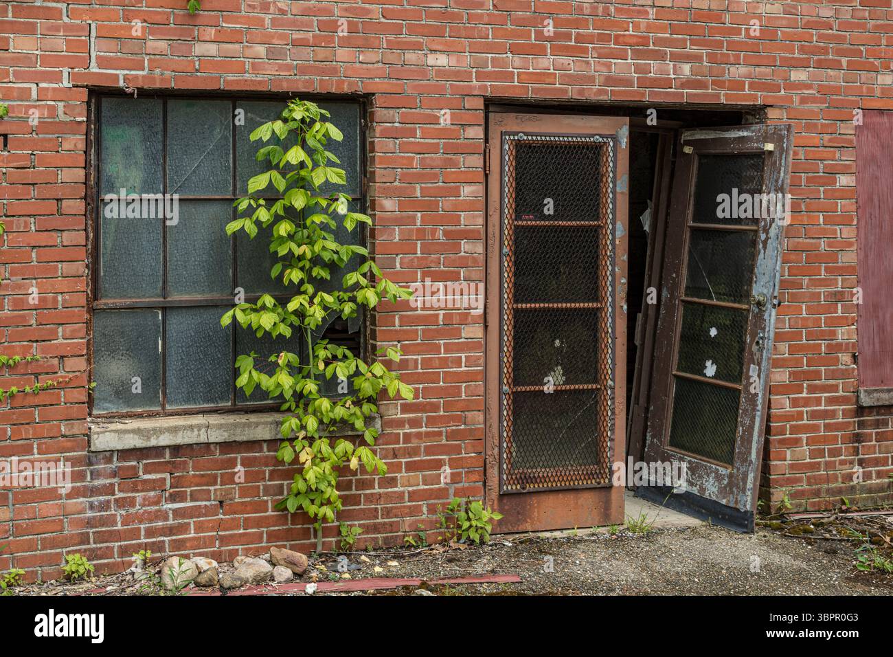 Porta e finestra rotte sovradimensionate all'esterno di un edificio abbandonato in mattoni, Indiana USA Foto Stock