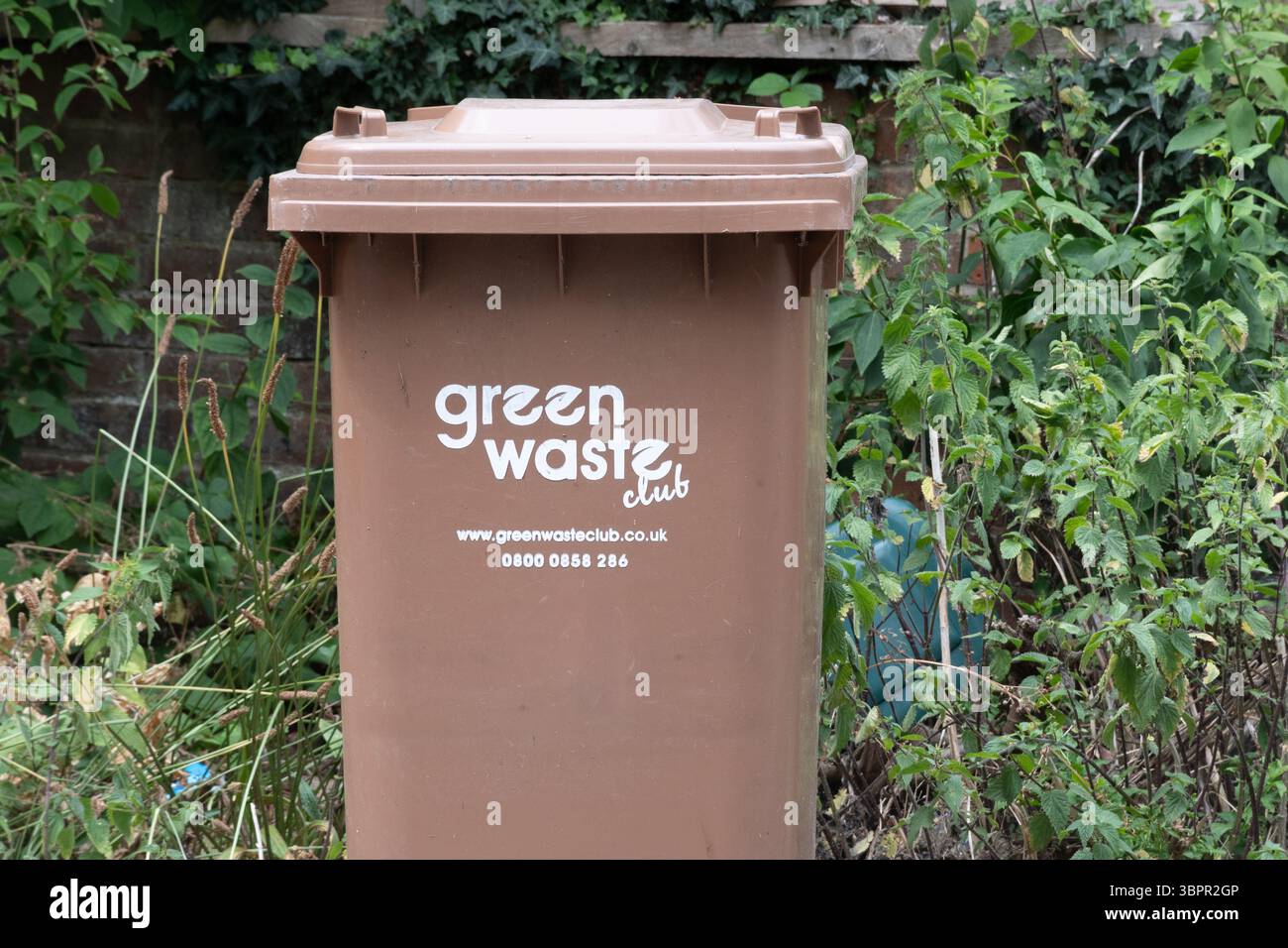 Contenitore per rifiuti verdi, club per rifiuti verdi, Surrey, Inghilterra, Regno Unito Foto Stock