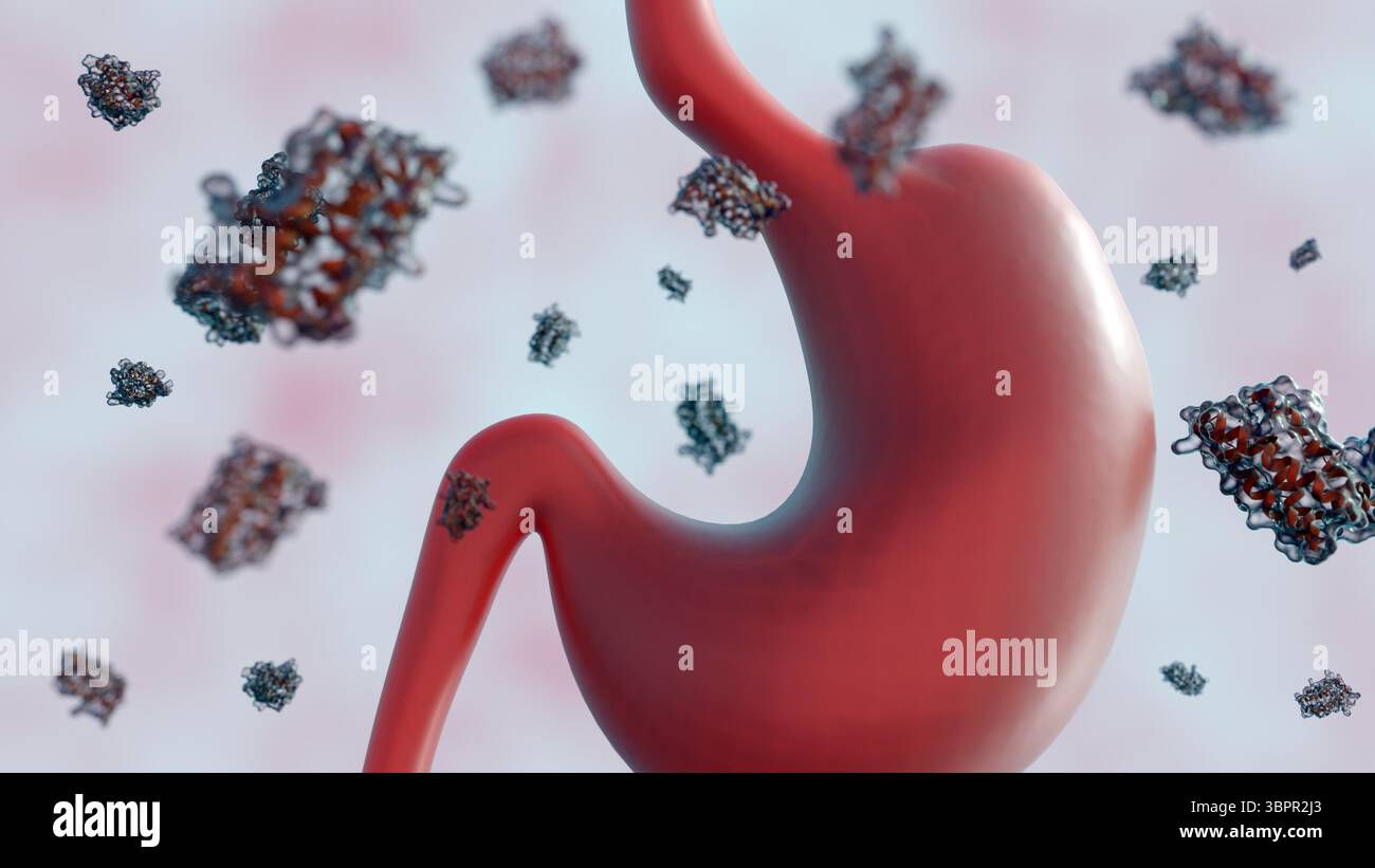 Rendering 3d di molecole di leptina sparse e stomaco umano. Foto Stock