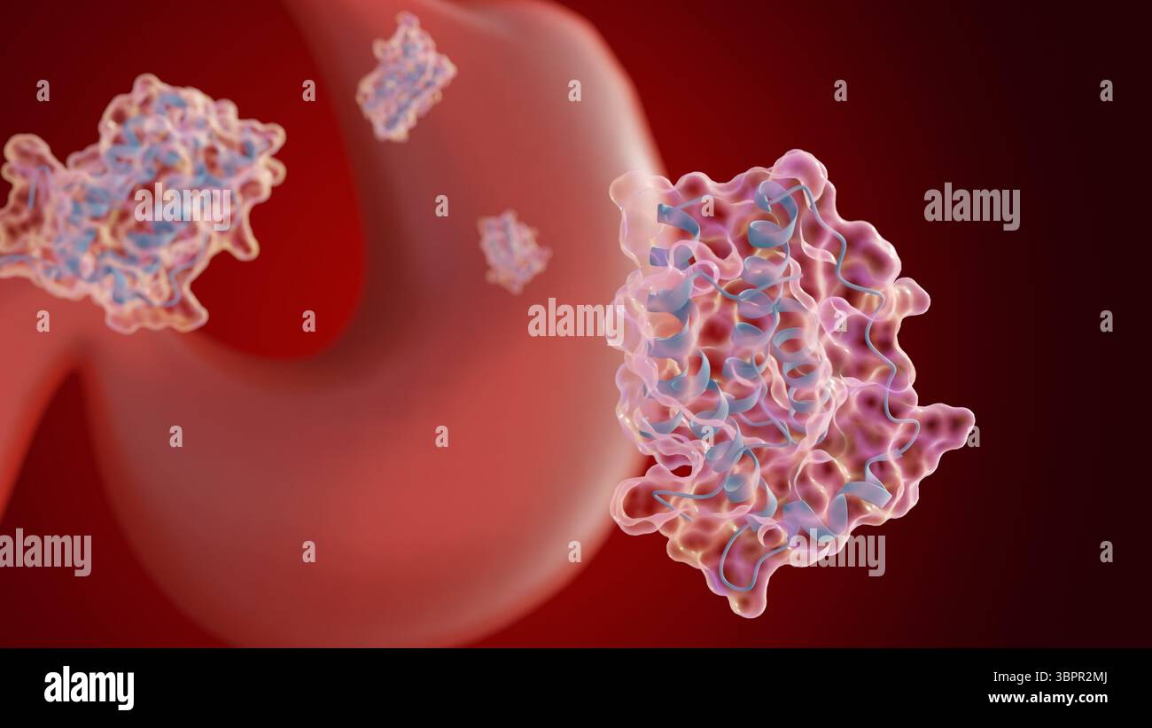 Rendering 3d di molecole di leptina sparse e stomaco umano. Foto Stock