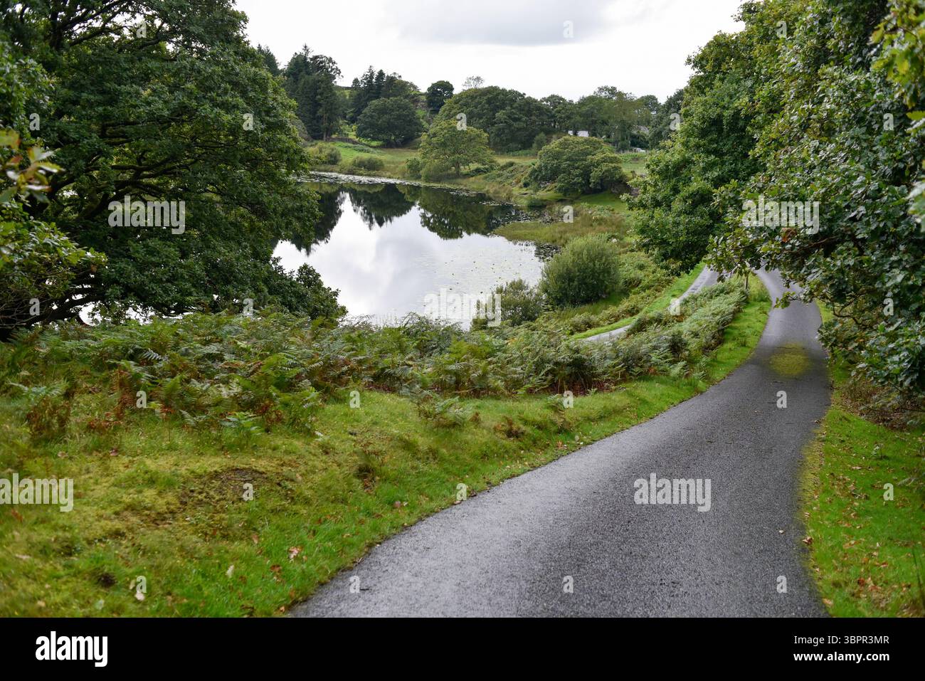 Scena rurale, Galles, Regno Unito Foto Stock