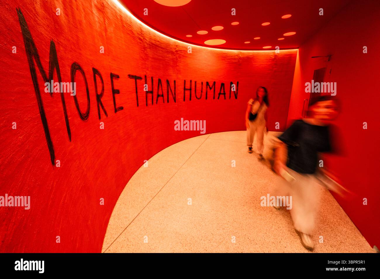 Londra, Regno Unito. 9 luglio 2025. L'ingresso - More Than Human al Design Museum - la mostra esplora come possiamo progettare per un futuro più verde in collaborazione con il mondo naturale di fronte alla crisi climatica. Presenta oltre 140 opere che spaziano da pratiche contemporanee e tradizionali, belle arti, design di prodotti, architettura e installazioni interattive di oltre 50 artisti, designer, architetti e ricercatori partecipanti. Si svolge dall'11 luglio al 5 ottobre 2025. Crediti: Guy Bell/Alamy Live News Foto Stock