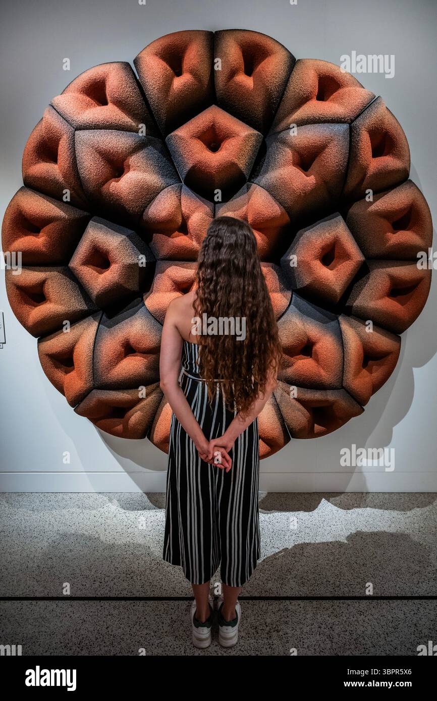 Londra, Regno Unito. 9 luglio 2025. More Than Human al Design Museum - la mostra esplora come possiamo progettare per un futuro più verde in collaborazione con il mondo naturale di fronte alla crisi climatica. Presenta oltre 140 opere che spaziano da pratiche contemporanee e tradizionali, belle arti, design di prodotti, architettura e installazioni interattive di oltre 50 artisti, designer, architetti e ricercatori partecipanti. Si svolge dall'11 luglio al 5 ottobre 2025. Crediti: Guy Bell/Alamy Live News Foto Stock