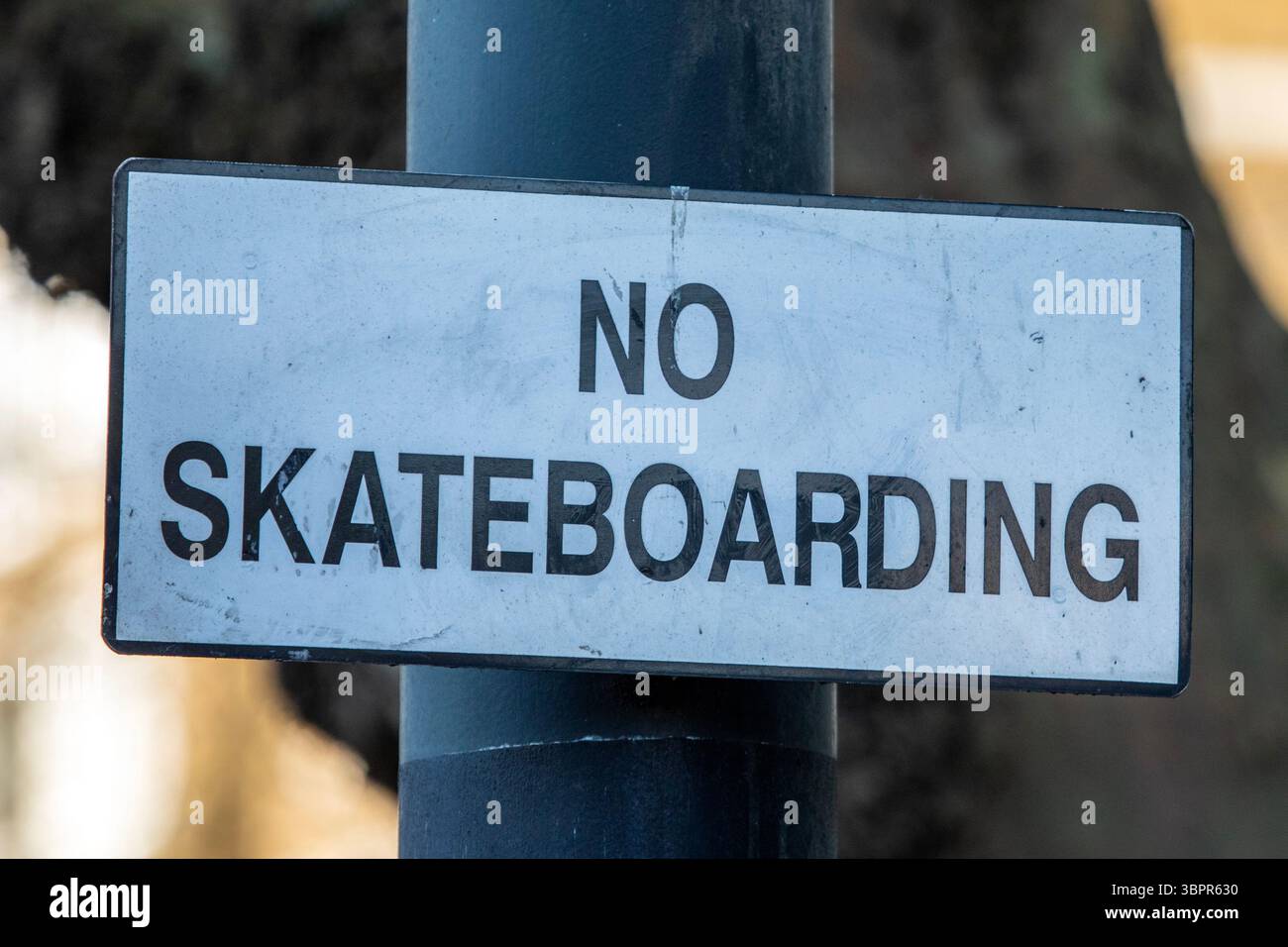 Primo piano di un cartello di divieto di skateboard. Foto Stock
