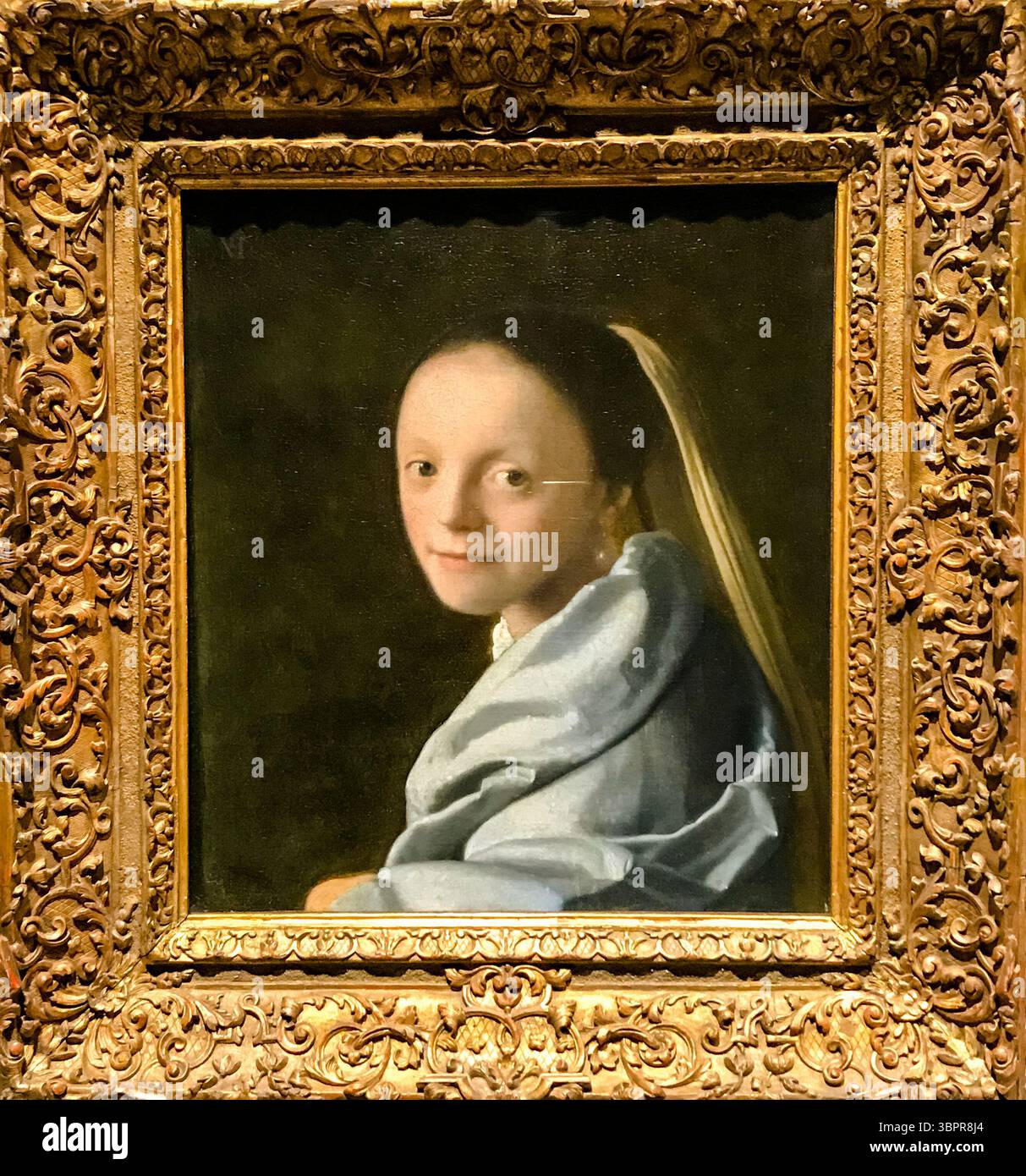 New York, New York - 19 febbraio 2019: Mostre e opere d'arte al Metropolitan Museum of Art di New York Foto Stock