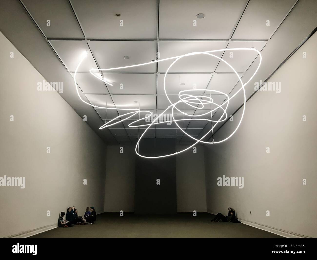 New York, New York - 19 febbraio 2019: Mostre e opere d'arte al Metropolitan Museum of Art di New York Foto Stock