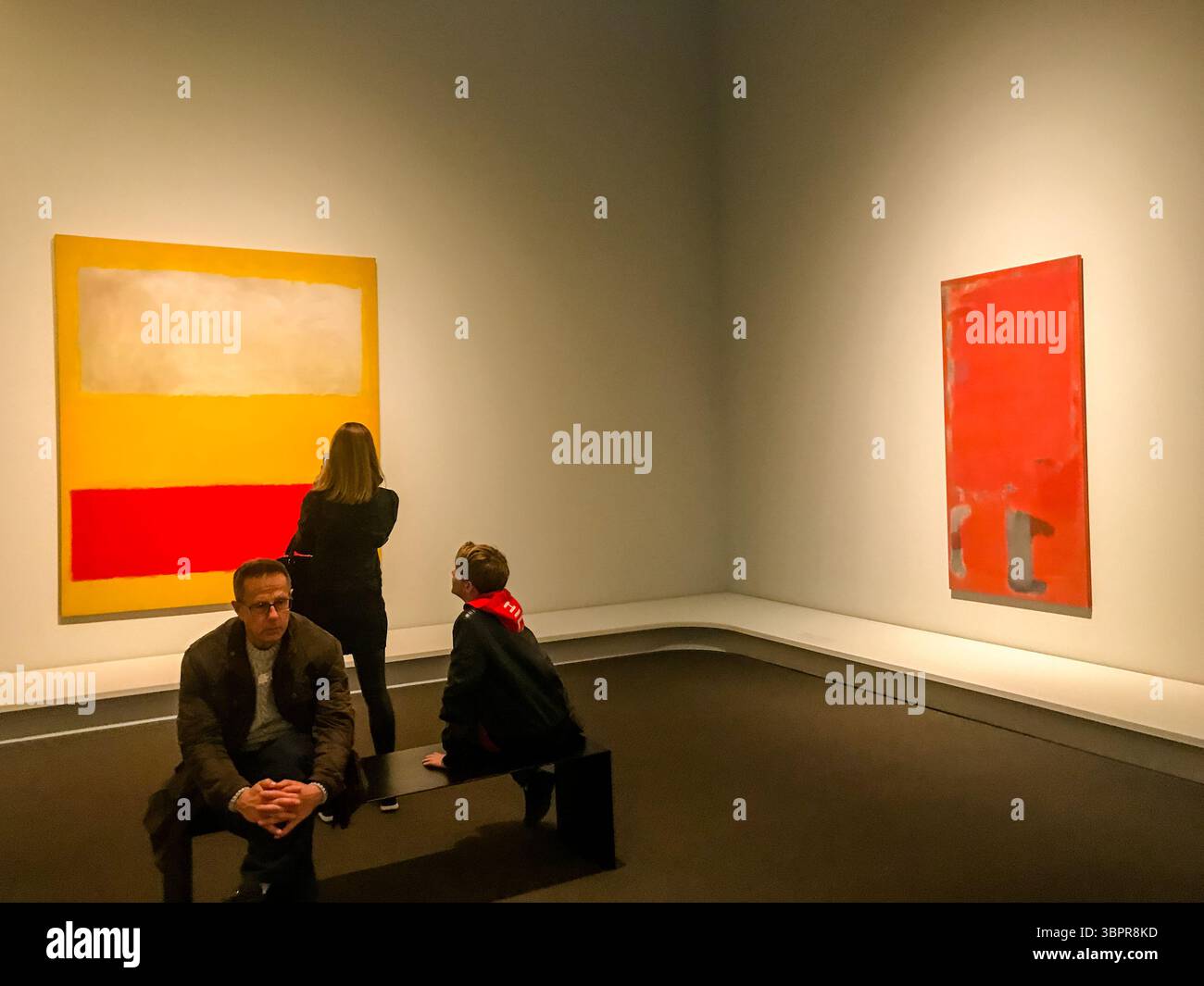 New York, New York - 19 febbraio 2019: Mostre e opere d'arte al Metropolitan Museum of Art di New York Foto Stock