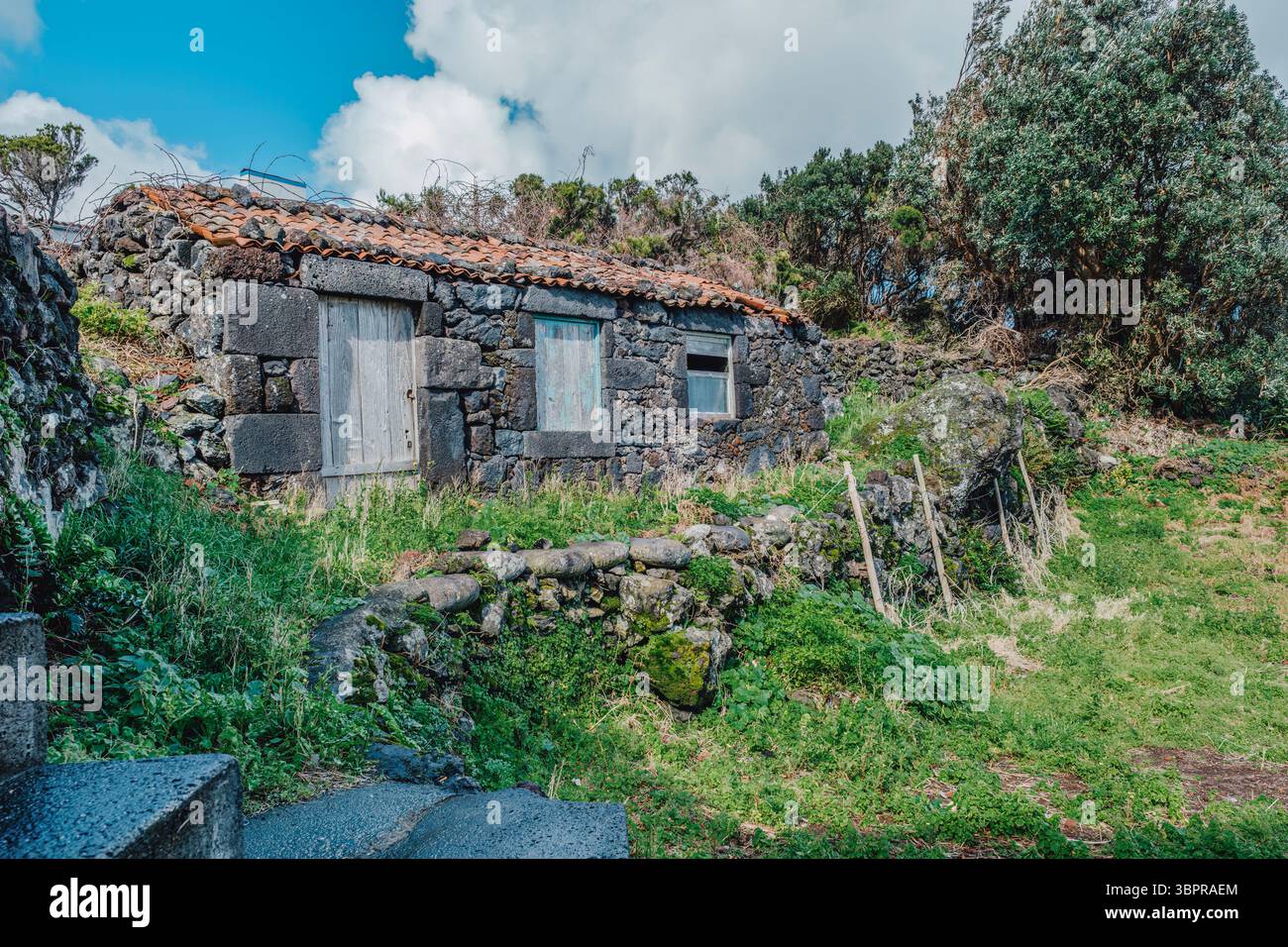 Casa in pietra abbandonata con tetto in mattonelle rosse sulla lussureggiante collina dell'isola delle Azzorre. Architettura rurale rustica, paesaggio coperto, fascino storico Foto Stock