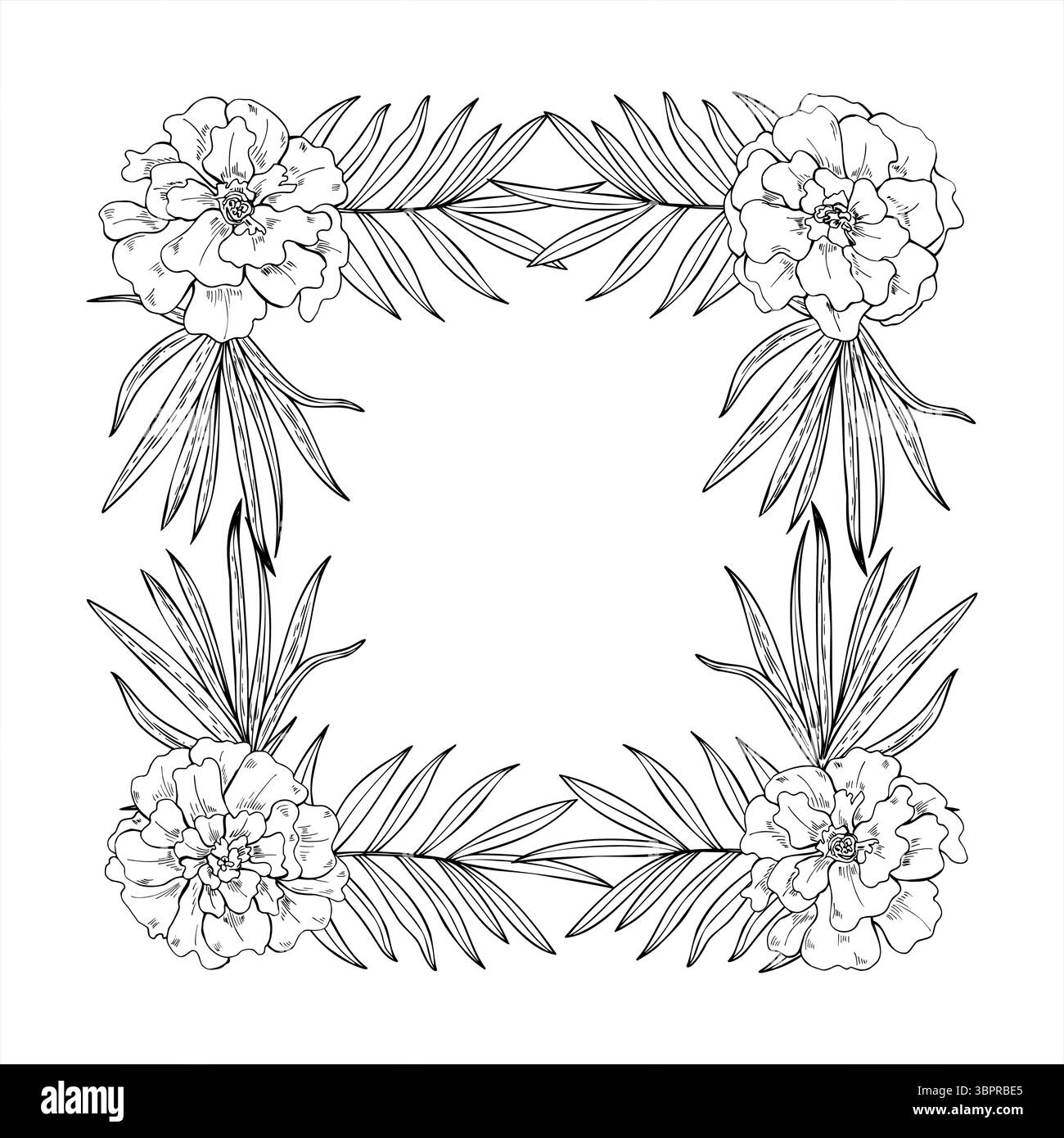 Bordo monocromatico con fiori di calendula e foglie tropicali con spazio vuoto per il testo. Illustrazione vettoriale delle teste di fiori in fiore per prodotti di bellezza Illustrazione Vettoriale
