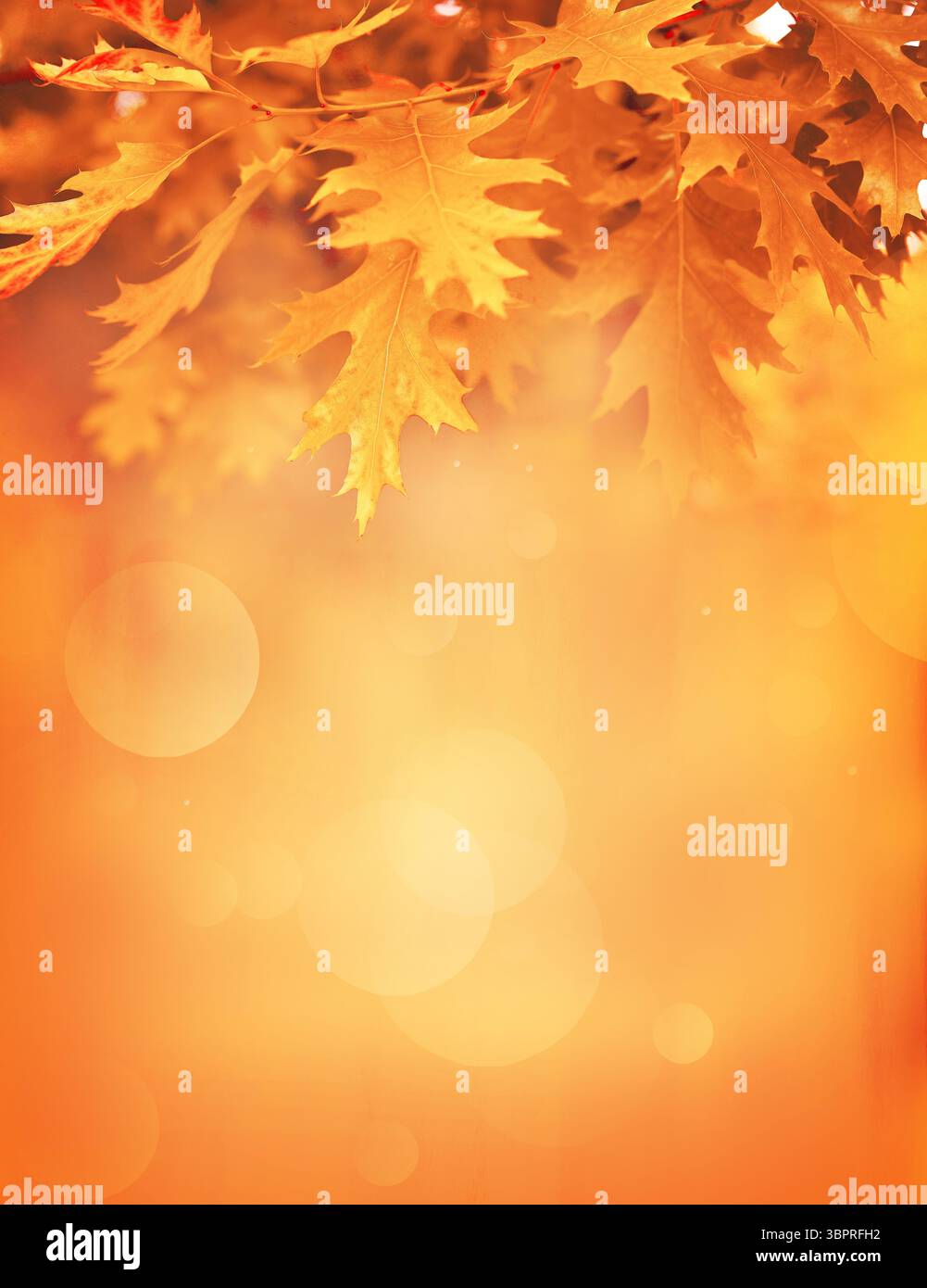 Foglie d'autunno sullo sfondo sfumato. Concetto autunnale. Foto Stock