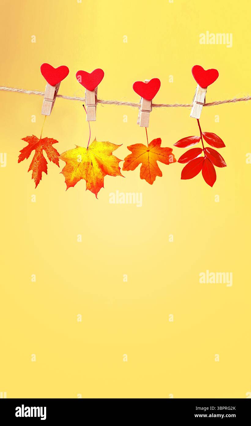 Foglie asciutte appese su un clothespin con cuore rosso. Foto Stock