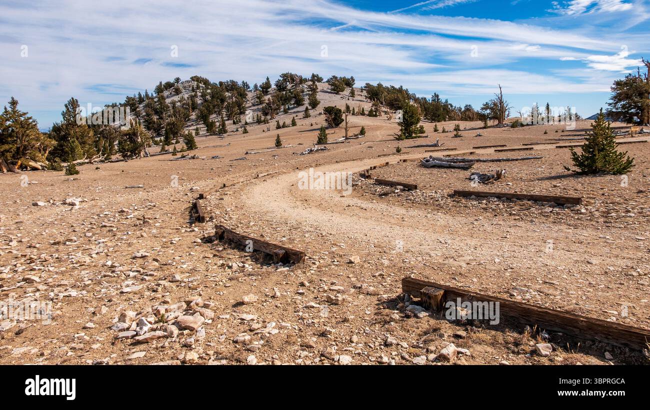 Percorso tortuoso attraverso un paesaggio asciutto con alberi sparsi e terreno roccioso Foto Stock