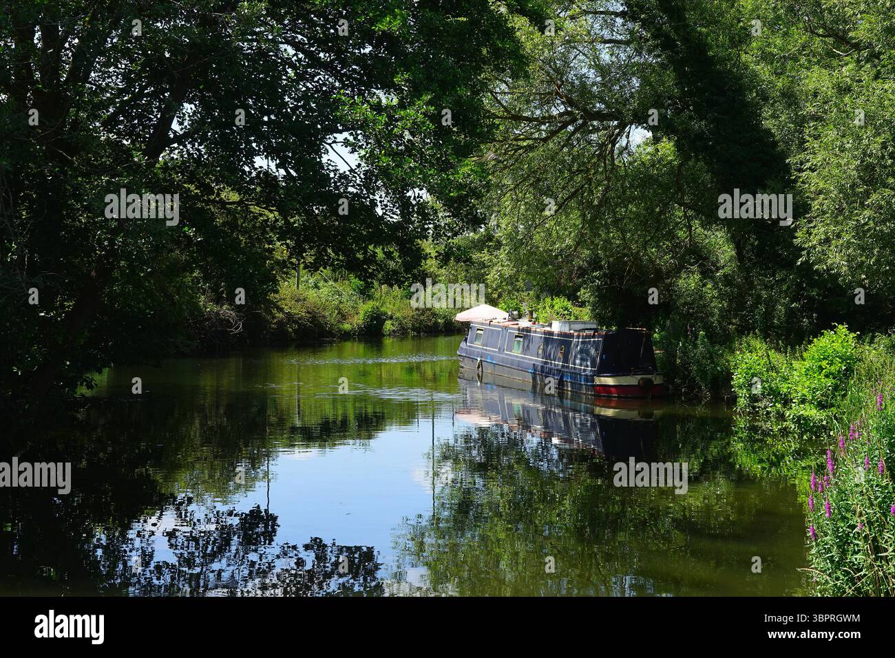 Barca stretta ormeggiata in parziale ombra vicino a Burnt Mill, Harlow Foto Stock