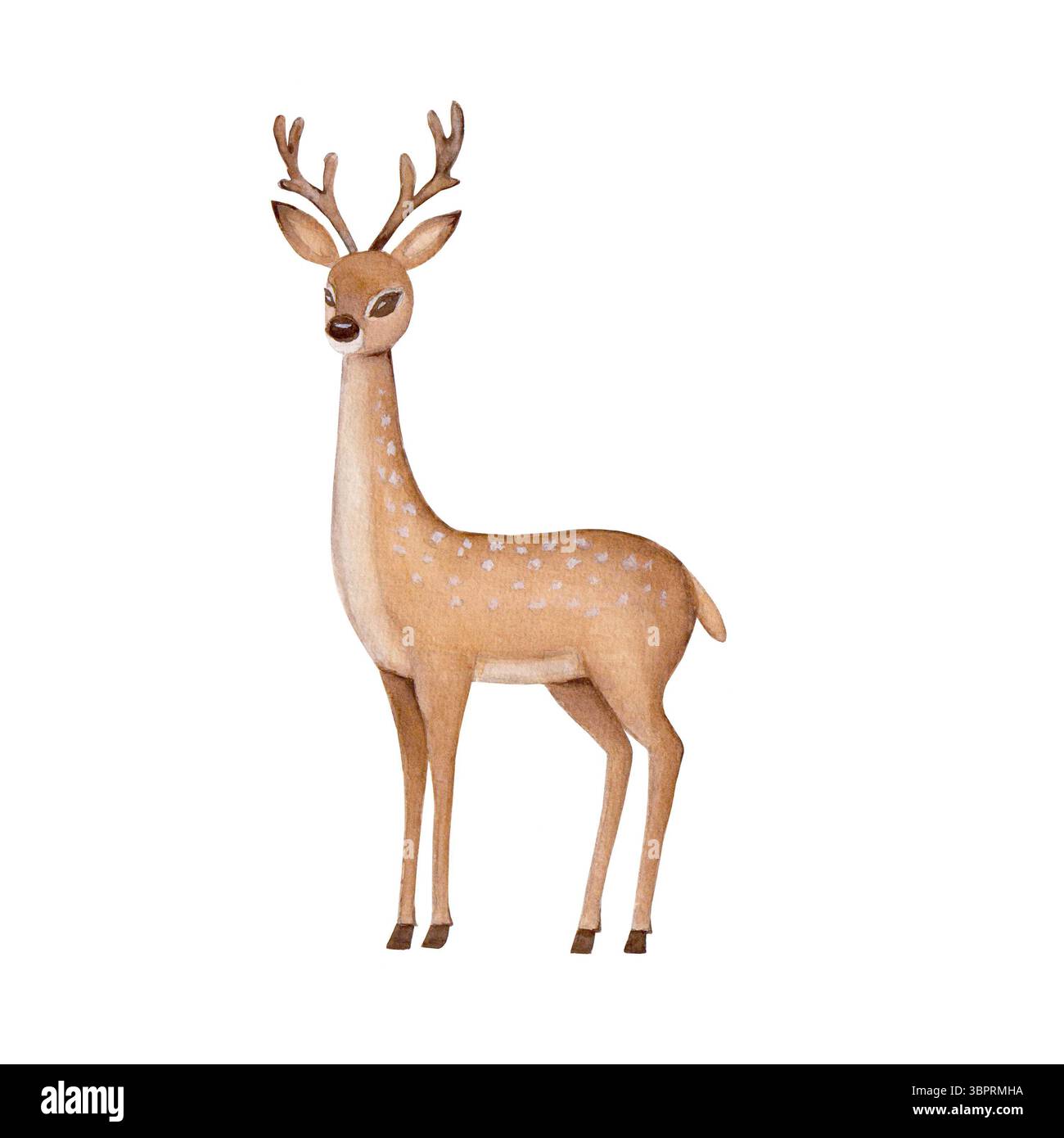 Cervo acquerello con palchi isolati su sfondo bianco. Illustrazione disegnata a mano con acquerello. Elemento di design disegnato a mano. Capodanno e natale Foto Stock