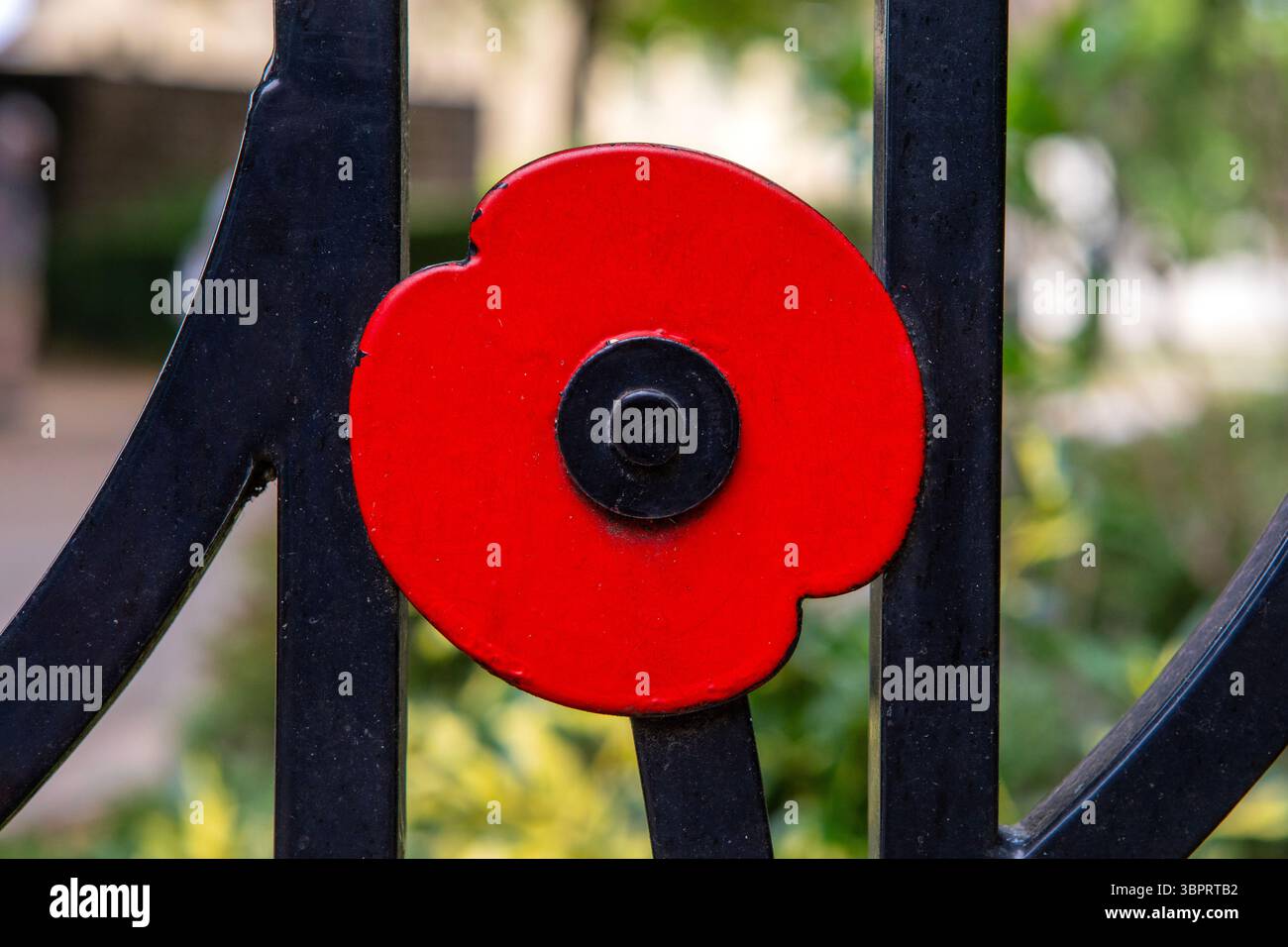 Dettaglio di un papavero rosso sulle ringhiere intorno al memoriale di guerra nel Priory Park a Southend-on-Sea, Essex, Regno Unito. Foto Stock