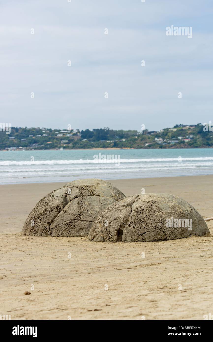 Moeraki Boulders / Kaihinaki – meraviglie geologiche, esposte dall'erosione di rocce sedimentarie depositate da 65 a 13 milioni di anni fa, nuova Zelanda Foto Stock