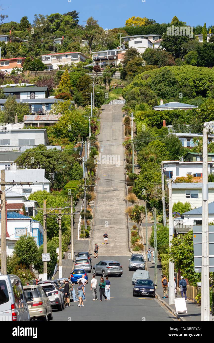 Baldwin Street, la strada più ripida del mondo con un gradiente del 34,8% ed è ora un popolare luogo turistico, Dunedin, nuova Zelanda Foto Stock