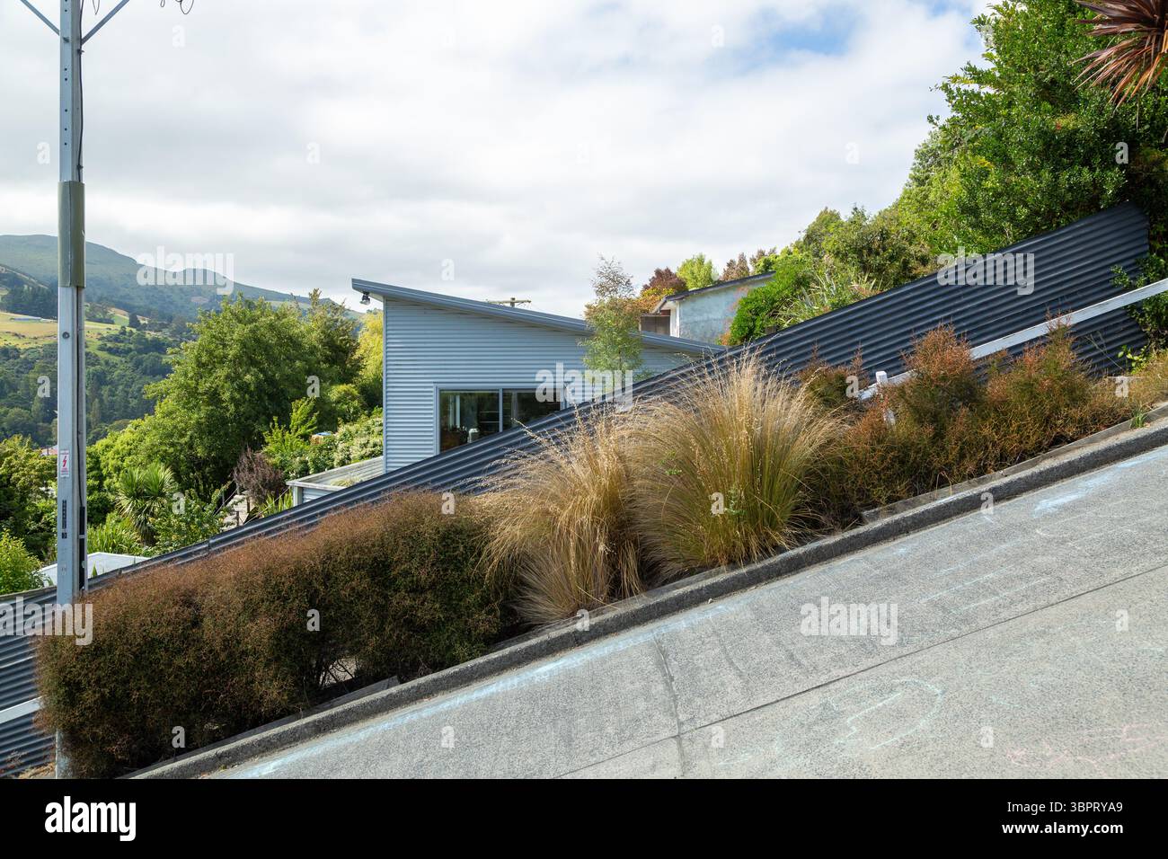 Baldwin Street, la strada più ripida del mondo con un gradiente del 34,8% ed è ora un popolare luogo turistico, Dunedin, nuova Zelanda Foto Stock