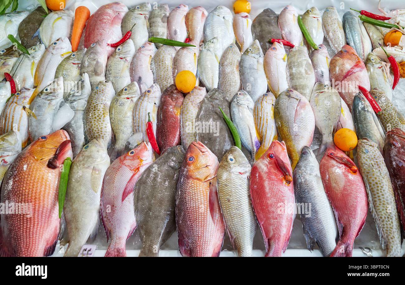 Pesce di mare appena pescato in un mercato di Kota Kinabalu, Borneo, Malesia. Foto Stock