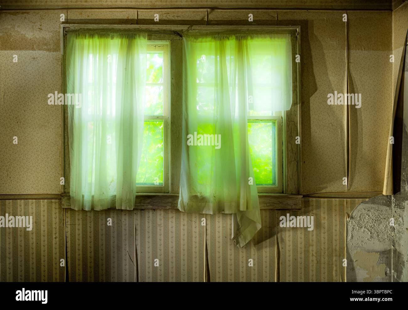 Finestra luminosa verde con tende in una casa abbandonata, Indiana USA Foto Stock