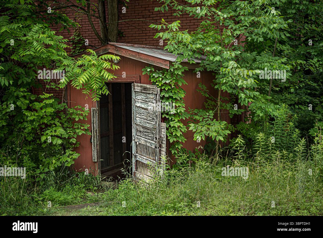 Apri vecchia porta in legno, esterno dell'edificio abbandonato, Indiana USA Foto Stock