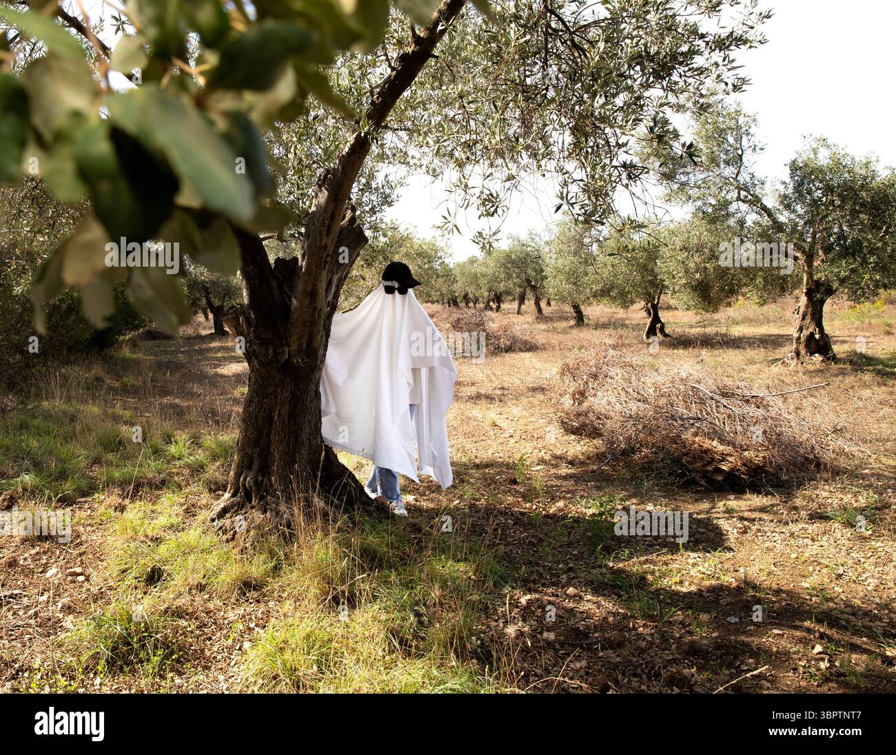 Un fantasma cammina nel giardino. Halloween. Spirito. costume fantasma Foto Stock
