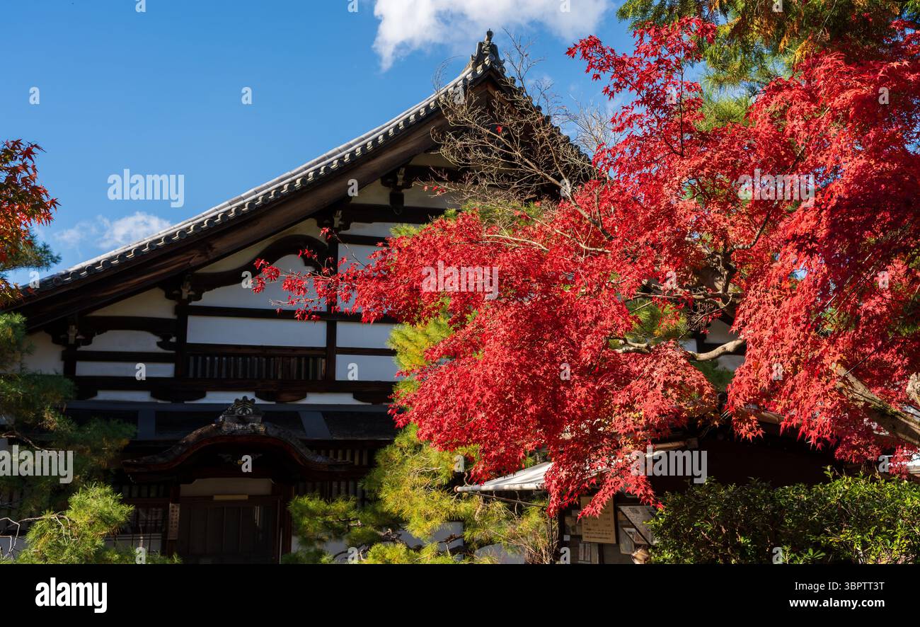 L'ingresso e il tradizionale tetto piastrellato del Tempio Konchi-in, incorniciato da vibranti colori autunnali di alberi d'acero. Sakyo-ku, Kyoto, Giappone Foto Stock