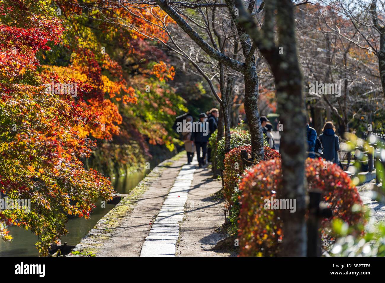 Il tranquillo sentiero dei filosofi (Tetsugaku no michi) a Kyoto, una passerella in pietra lungo un canale fiancheggiato da fogliame autunnale. Sakyo-ku, Kyoto, Giappone. Foto Stock