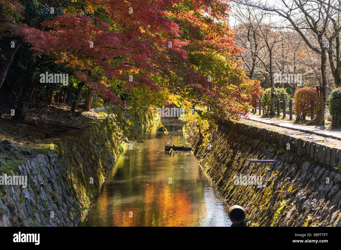 Il tranquillo sentiero dei filosofi (Tetsugaku no michi) a Kyoto, una passerella in pietra lungo un canale fiancheggiato da fogliame autunnale. Sakyo-ku, Kyoto, Giappone. Foto Stock
