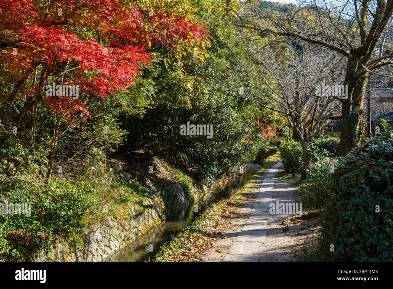 Il tranquillo sentiero dei filosofi (Tetsugaku no michi) a Kyoto, una passerella in pietra lungo un canale fiancheggiato da fogliame autunnale. Sakyo-ku, Kyoto, Giappone. Foto Stock