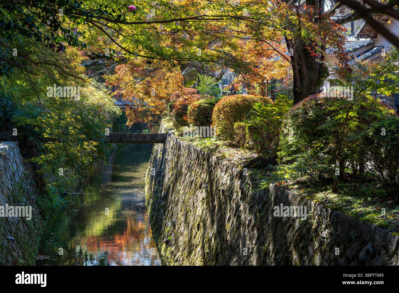 Il tranquillo sentiero dei filosofi (Tetsugaku no michi) a Kyoto, una passerella in pietra lungo un canale fiancheggiato da fogliame autunnale. Sakyo-ku, Kyoto, Giappone. Foto Stock