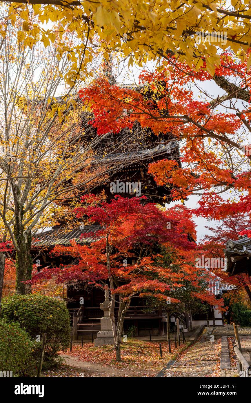 La pagoda del Tempio di Shinnyo-do (Shinshogokuraku-ji) circondata da un mare di vibranti foglie d'autunno rosse e arancioni. Sakyo-ku, Kyoto, Giappone. Foto Stock