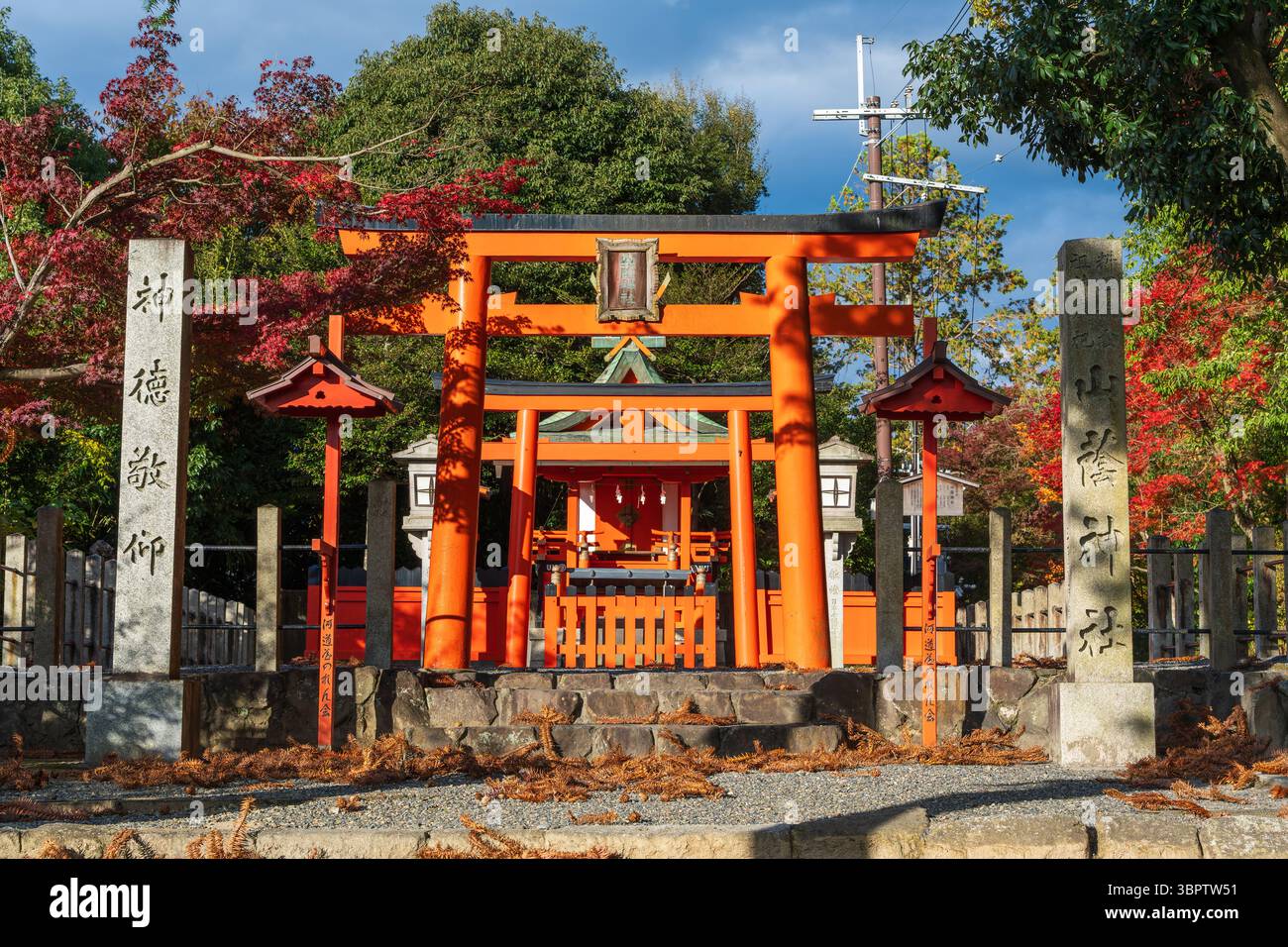 L'ingresso e la porta torii vermiglio del santuario Yamakage Jinja, dedicato al dio della cucina, circondato da foglie autunnali. Sakyo-ku, Kyoto, Giappone. Foto Stock