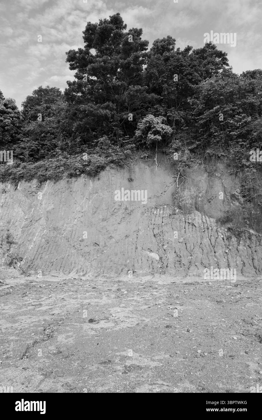 Ripida parete rocciosa con una fitta foresta sopra, fotografata in monocromia, che rivela i modelli di erosione nella terra. Foto Stock