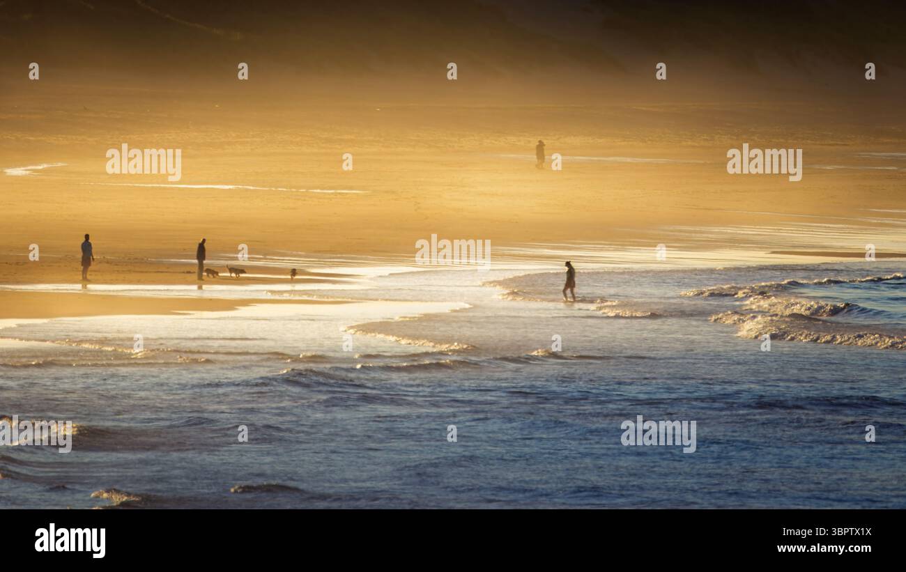 Tramonto su Seaton Sluice Beach, Northumberland, luglio 2025. Foto Stock