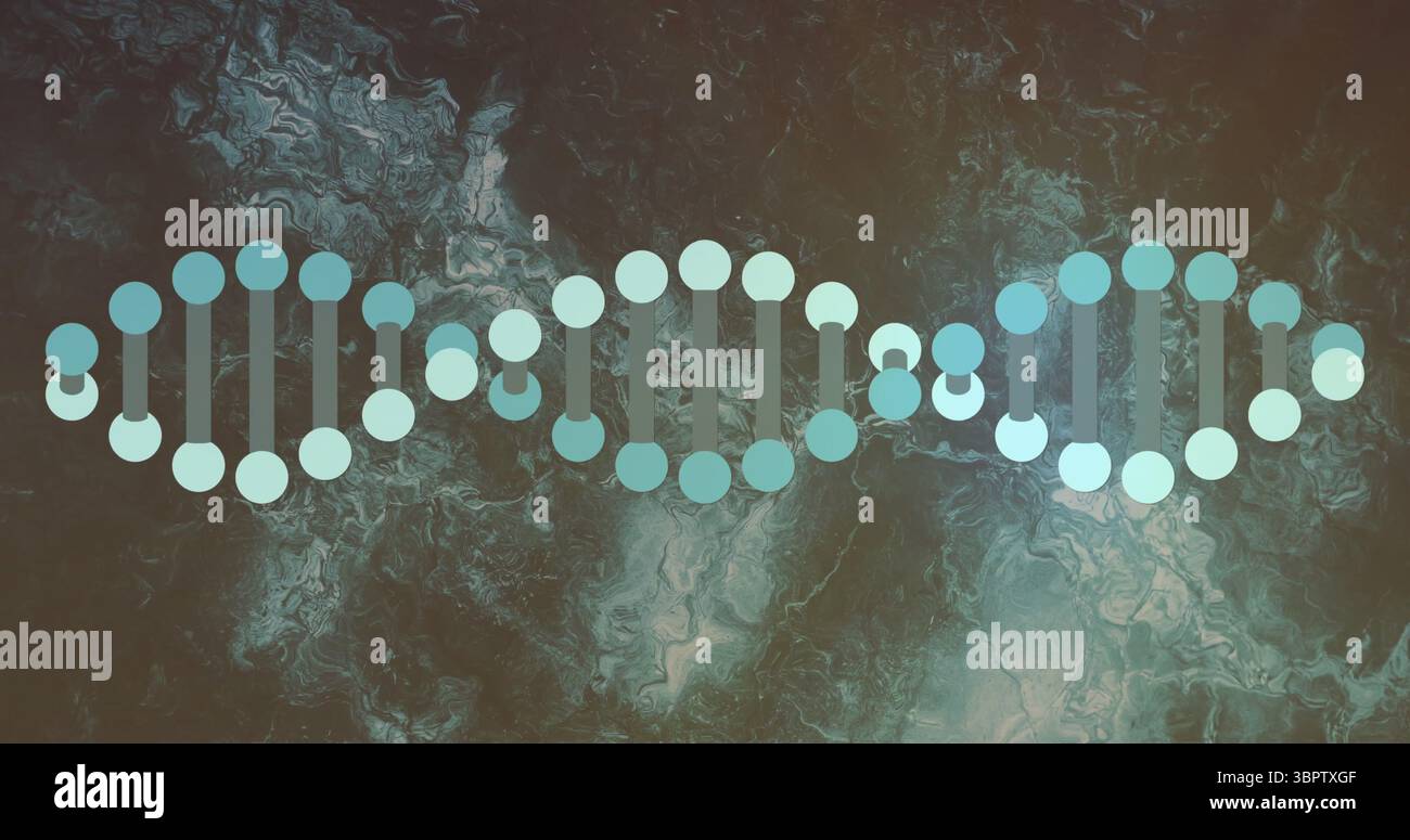 Visualizzazione di segmenti di elica DNA in grafica digitale, con cerchi nucleotidici e connettori di legame Foto Stock
