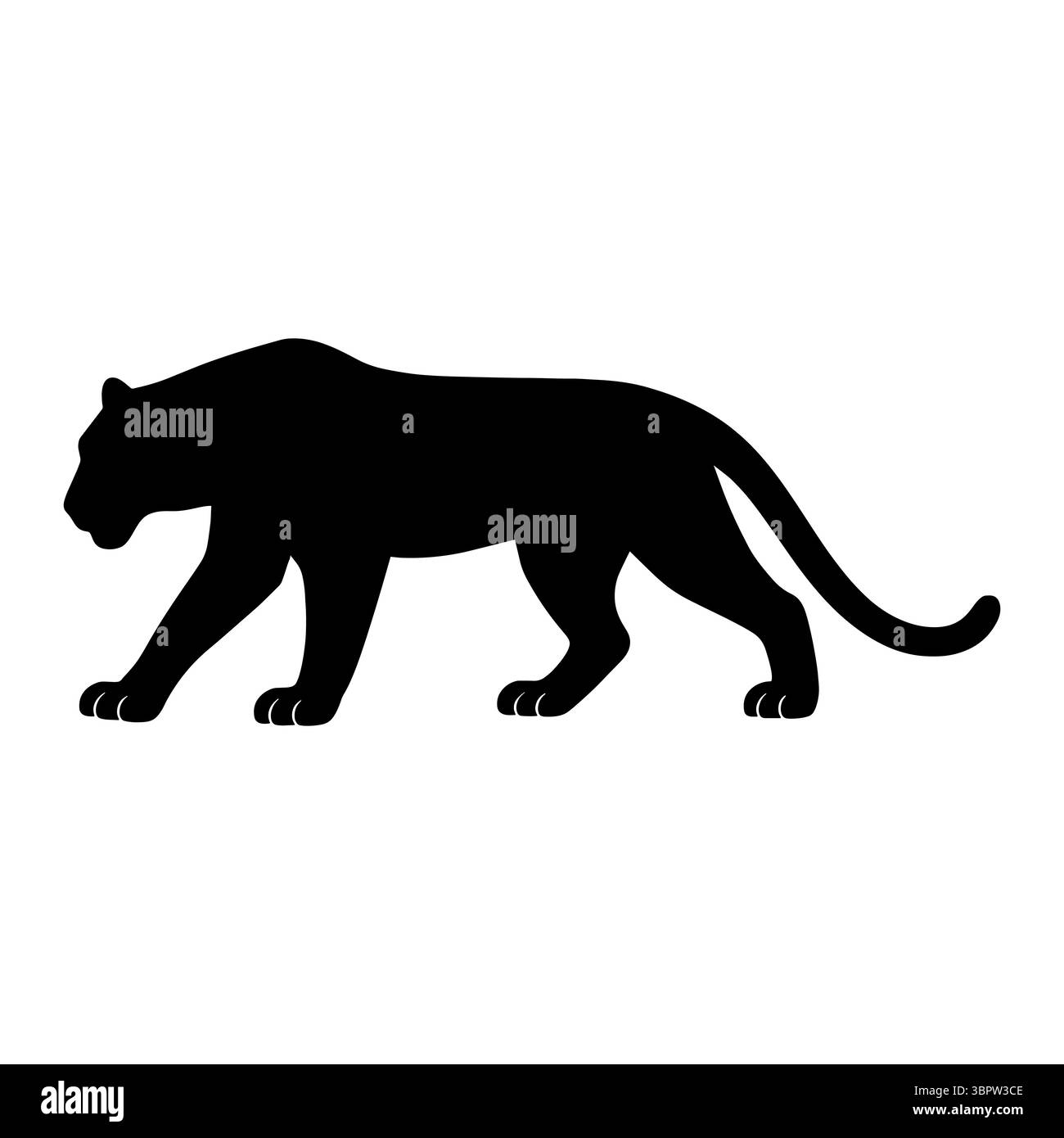 Vista a piedi reale della silhouette della tigre Illustrazione Vettoriale
