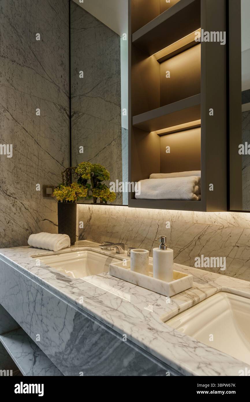Lussuoso doppio lavandino in un bagno in marmo con lavandini integrati, rubinetti moderni e una disposizione floreale ortensie verde. Specchio retroilluminato e ripiani. Foto Stock